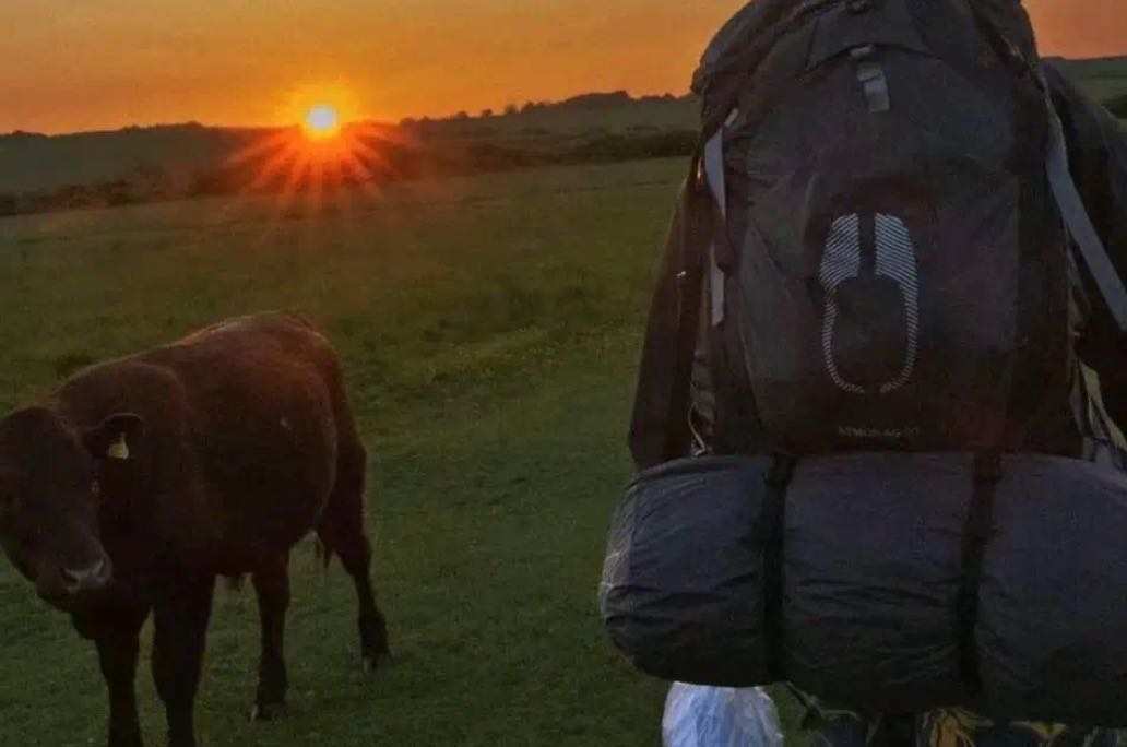 解锁职业选择：与迷茫温柔和解