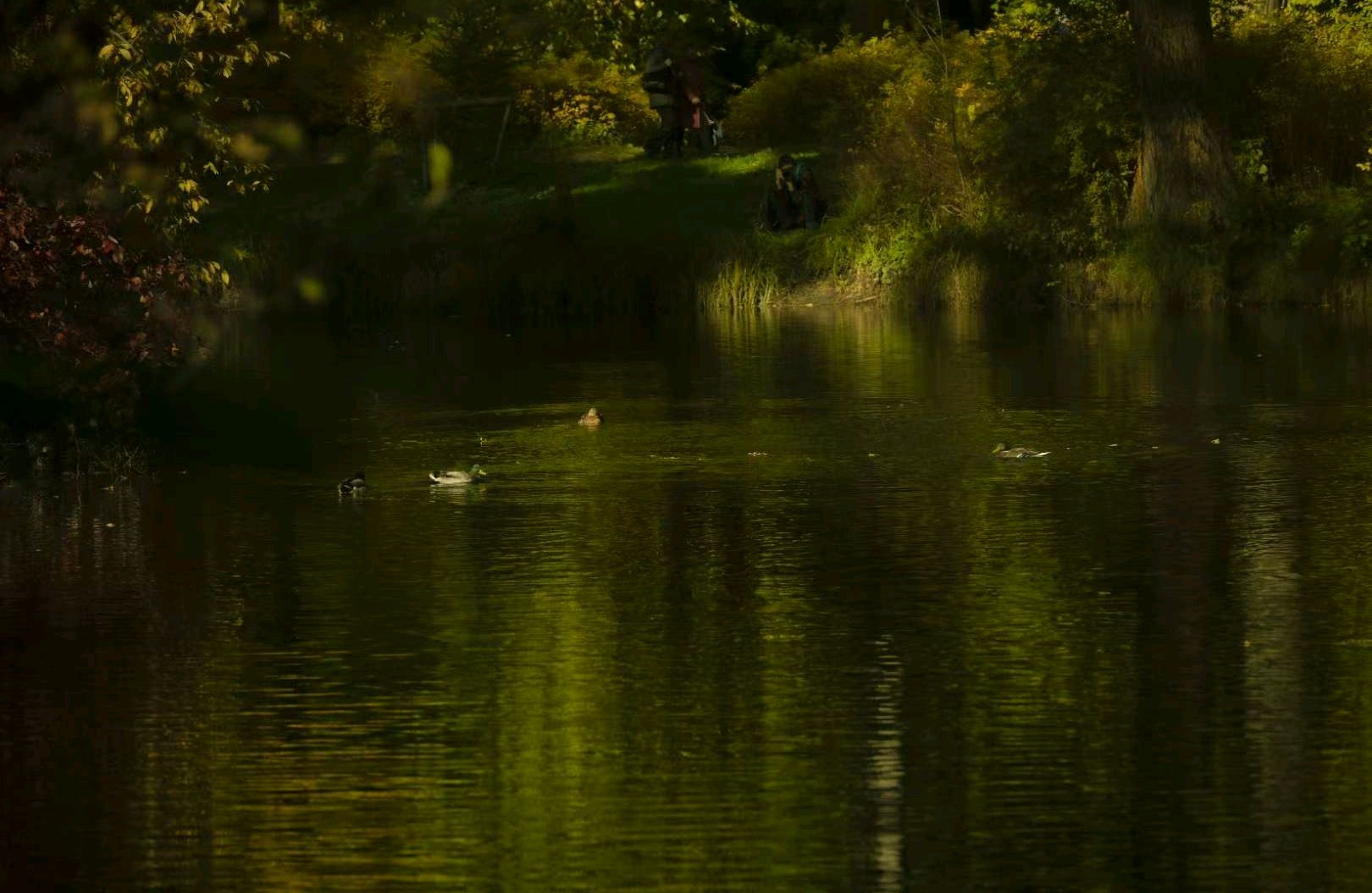逃避情绪有用吗？
