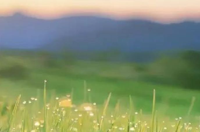 哼哼！生气！为什么没有人能理解我？——其实这一切没有那么糟。