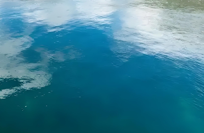 与NPD人格伴侣相处：核心干货指南