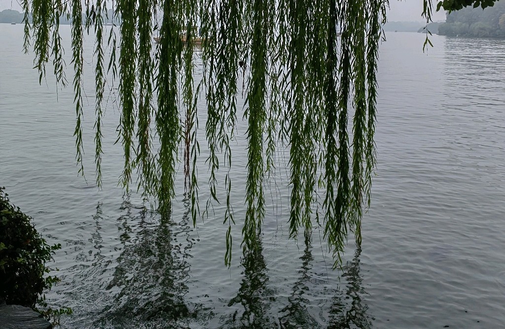 恋爱中如何确立关系？