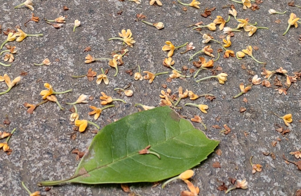 如何判断对方是否真心想确立关系？