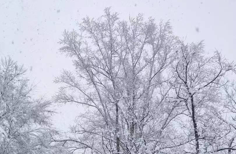 面对恶意中伤，你最有力的回击是“不纠缠”