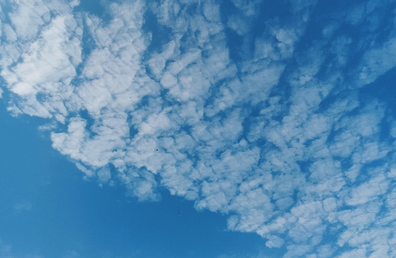 过于肥胖，不敢谈恋爱怎么办？