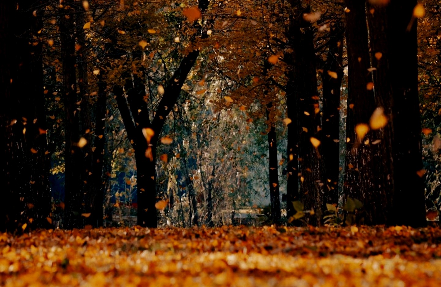 让爱情保持新鲜感：在岁月里守护心动