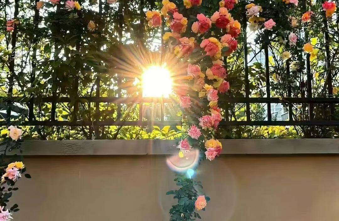 频繁争吵消耗爱意该如何止损？