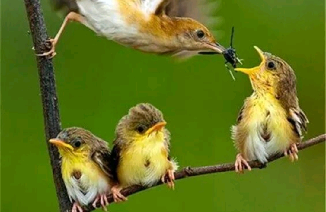 如何用心理学方法快速走出情绪低谷？