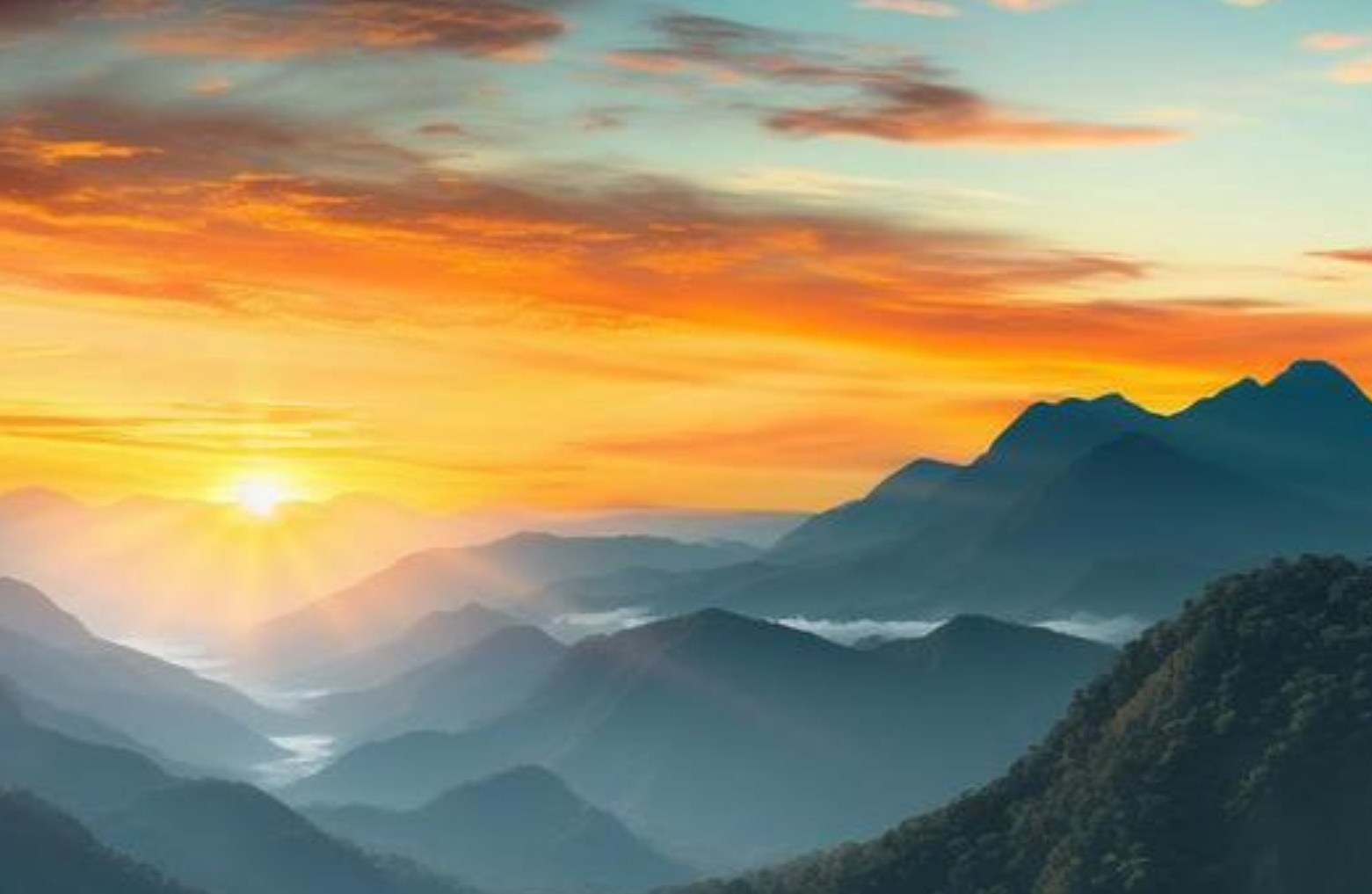 人户一致，匆匆一生，学会忘记，更要感恩