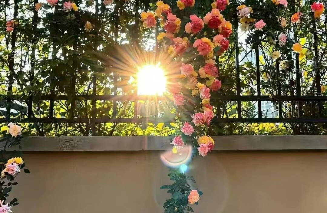 如何判断一段婚姻是否值得继续挽回？