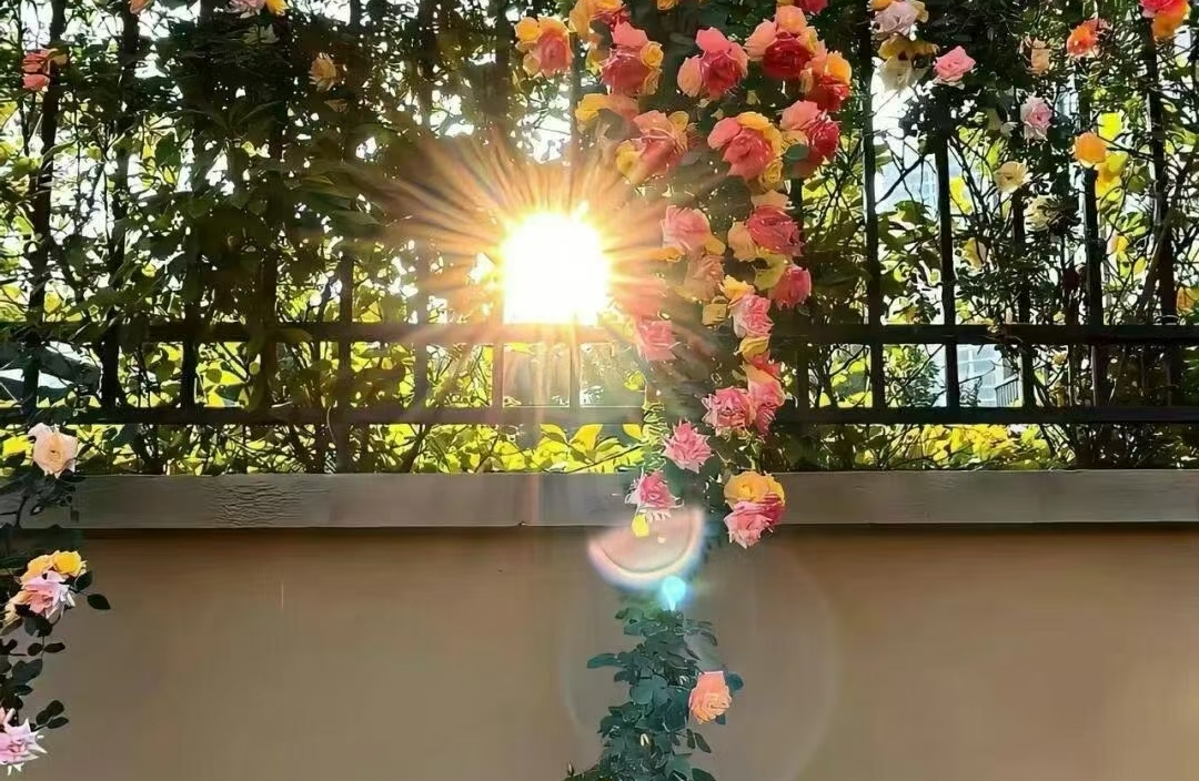 婚姻里保持自我还是妥协磨合？