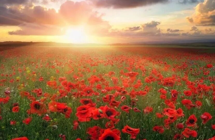 恋爱中为女生增加幸福感