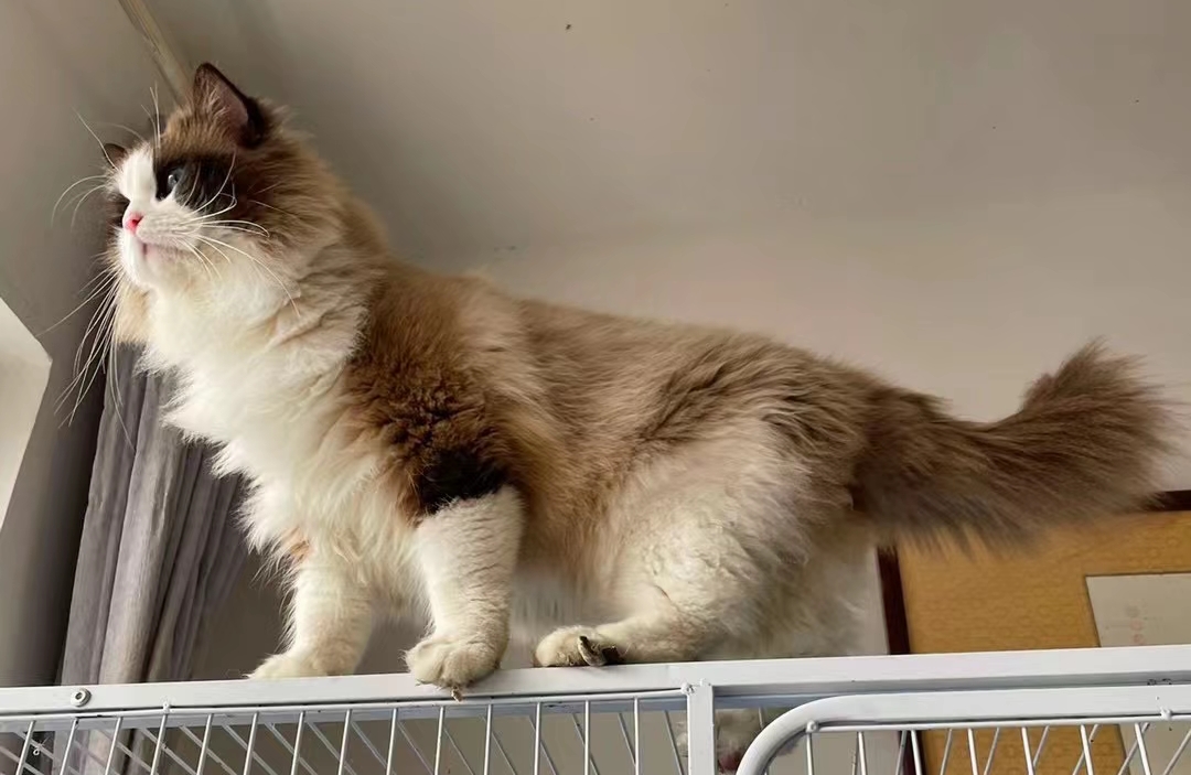 不害怕丢人是真正对的强大