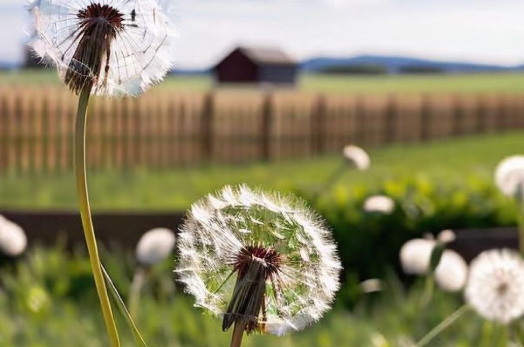 INFJ型人格的焦虑缓解实用技巧清单