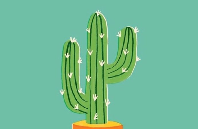 暴力沟通学了很多，一直不会用，实用方法