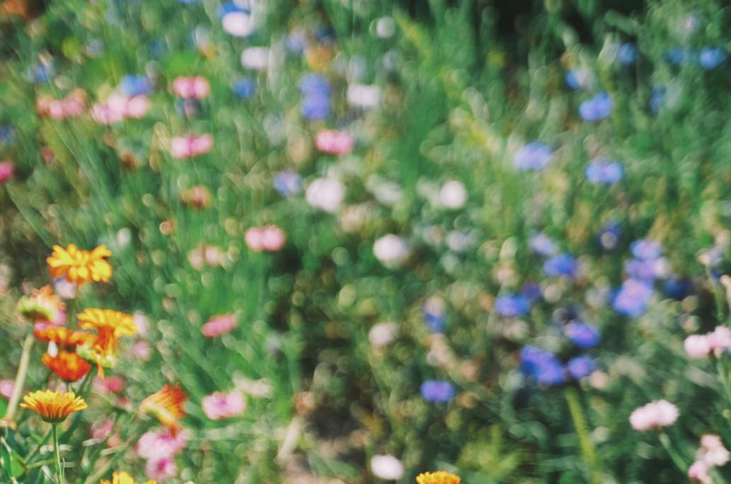 依恋型人格对感情有什么影响？