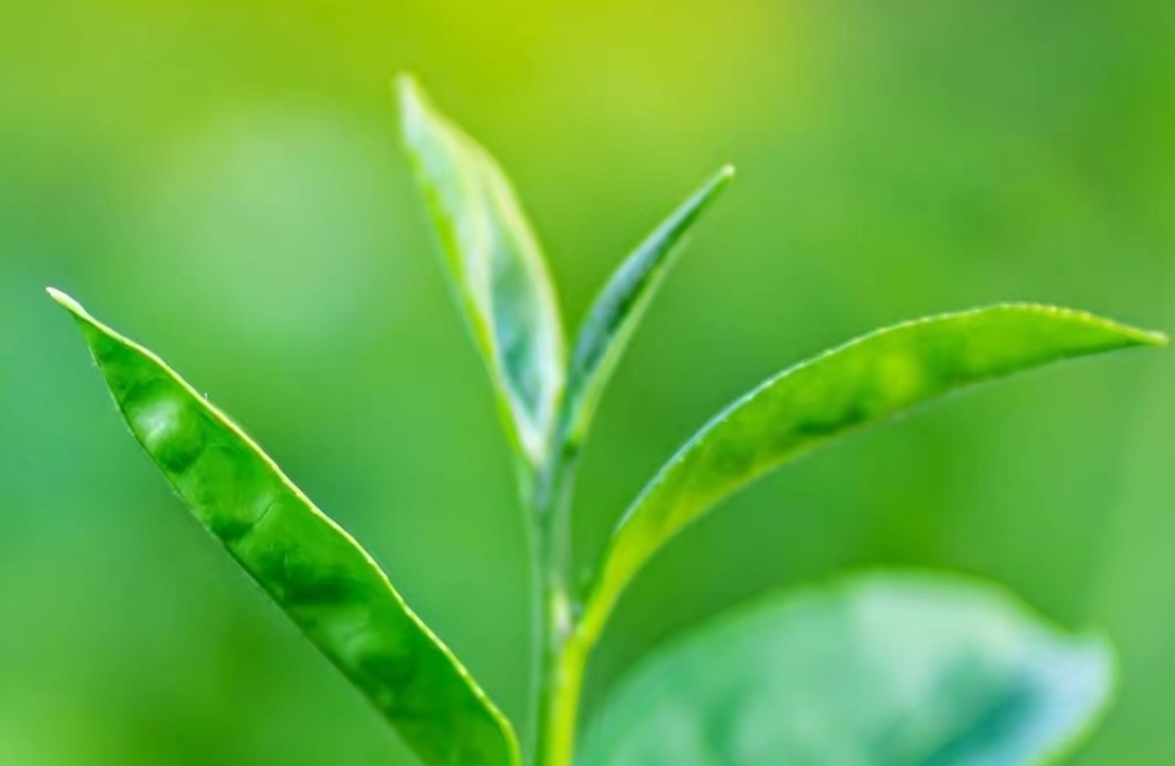 拥抱社交，驱散焦虑的阴霾