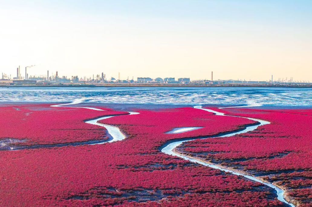 被压力困住的日子 我靠这三步找回了对生活的掌控感
