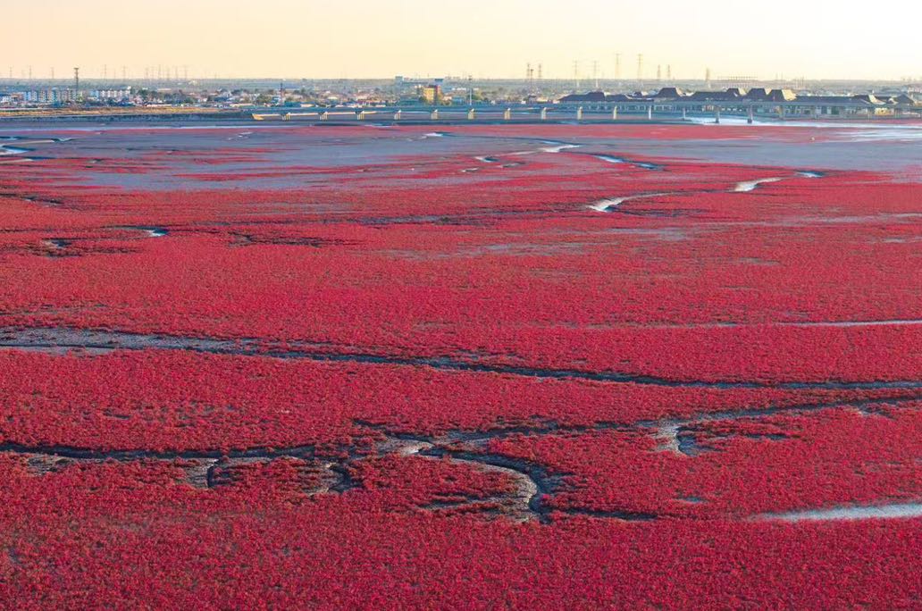 停止精神内耗 我用三个小习惯改写了焦虑剧本