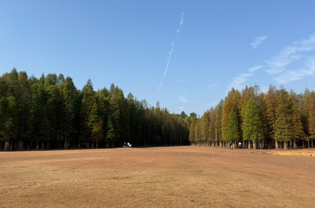 阿德勒的课题分离