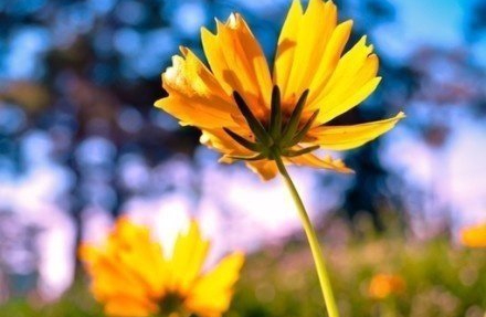 上学对人格与认知塑造的积极影想