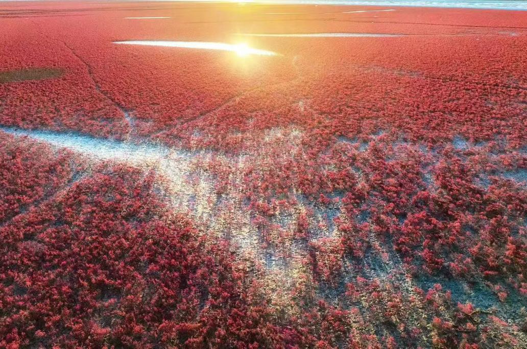 从害怕接电话到主动社交，我用这三步打开自己