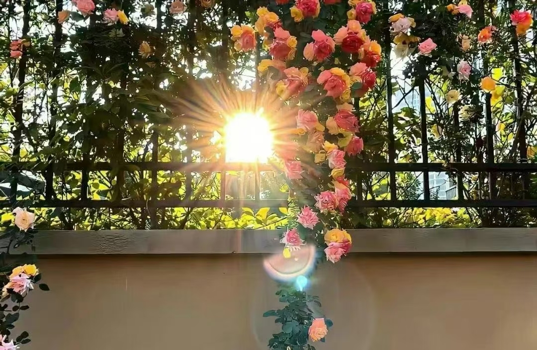 如何判断一段婚姻关系是否值得挽回？