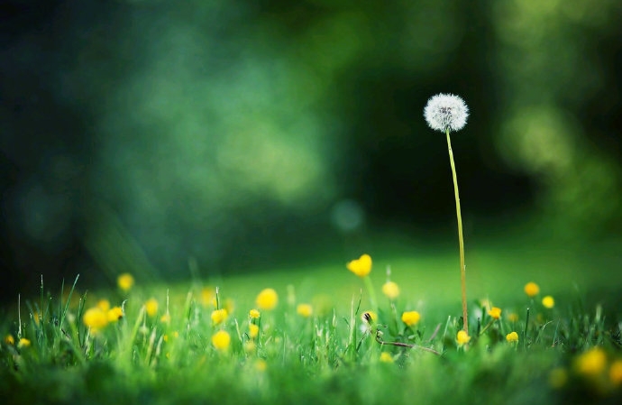 如何培养积极的生活态度？