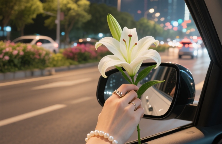 灵魂伴侣：亲密关系中最深层的心理诉求共振