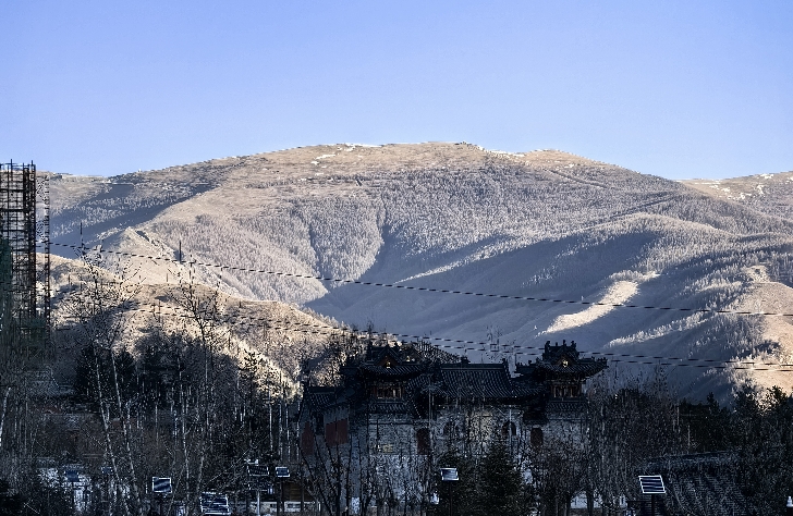 自主与关联的平衡