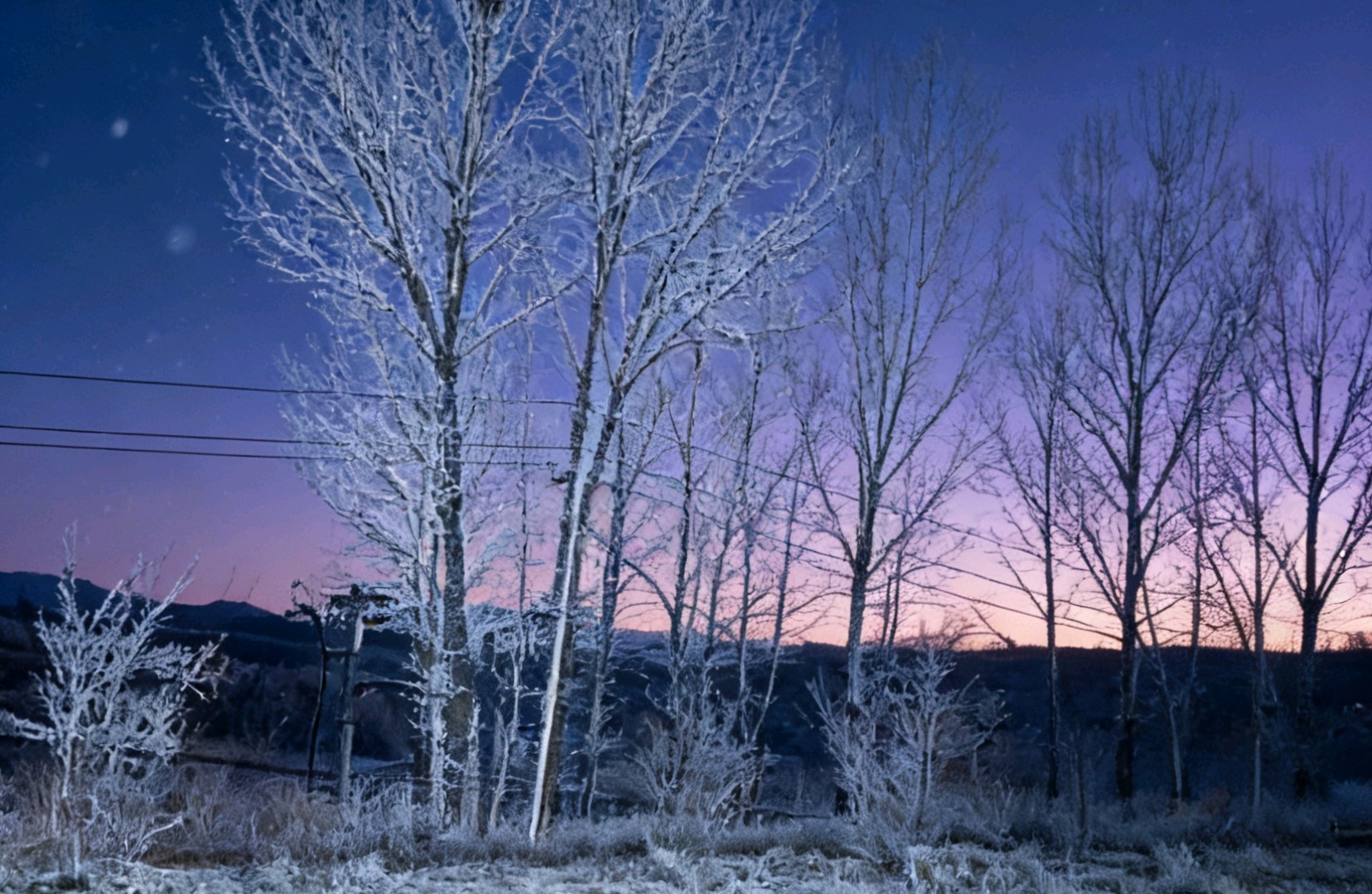 面对丧偶式婚姻该怎么办？