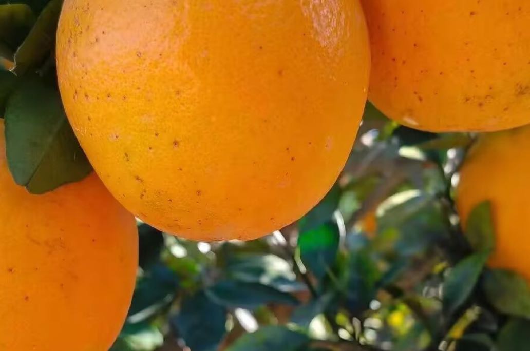 感情里总遇错的人？不是运气差，是你在重复童年的执念
