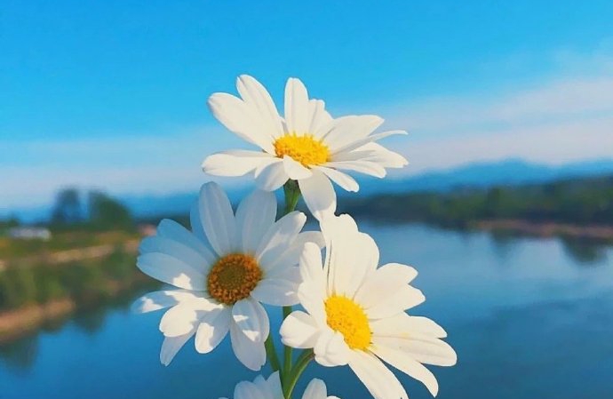 在职场中怎样建立人际关系？