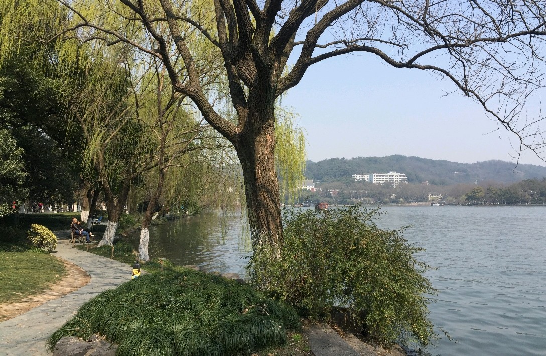 通过行为激活与目标管理减少精神内耗