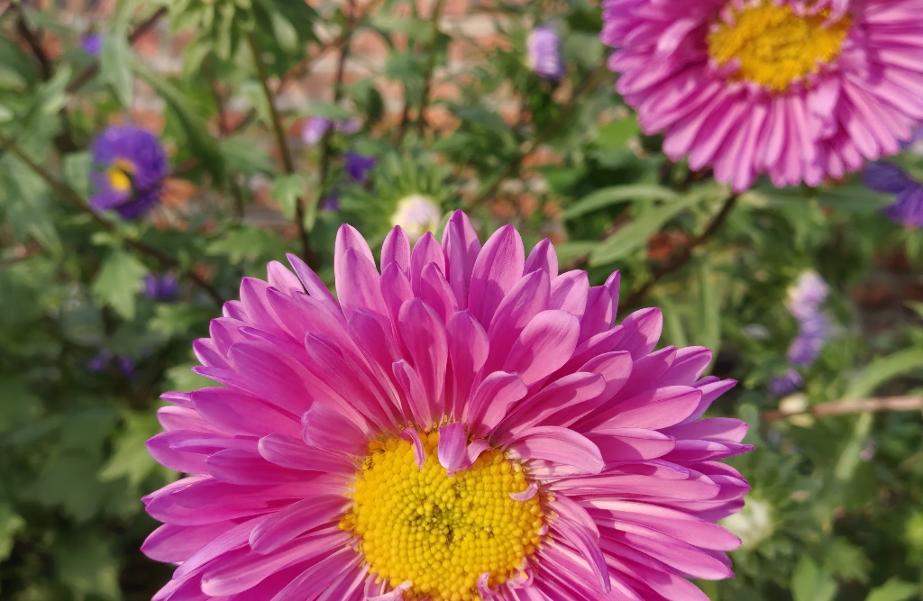 人都会有情绪，情绪来临时该怎么办