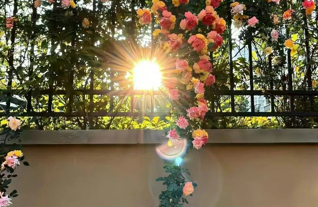 育儿观念有分歧，夫妻如何达成共识？