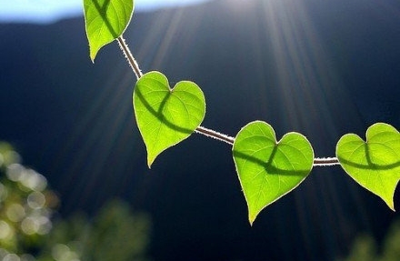 如何在家庭中保持有效沟通？