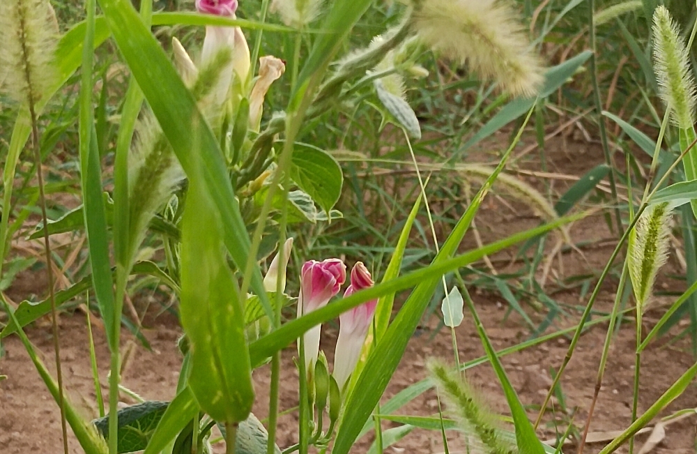 如何避免感情不顺