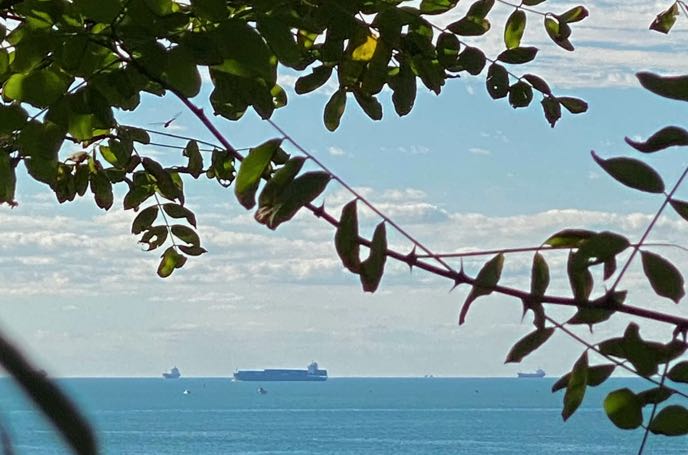 原生家庭的遗憾，不必非要弥补