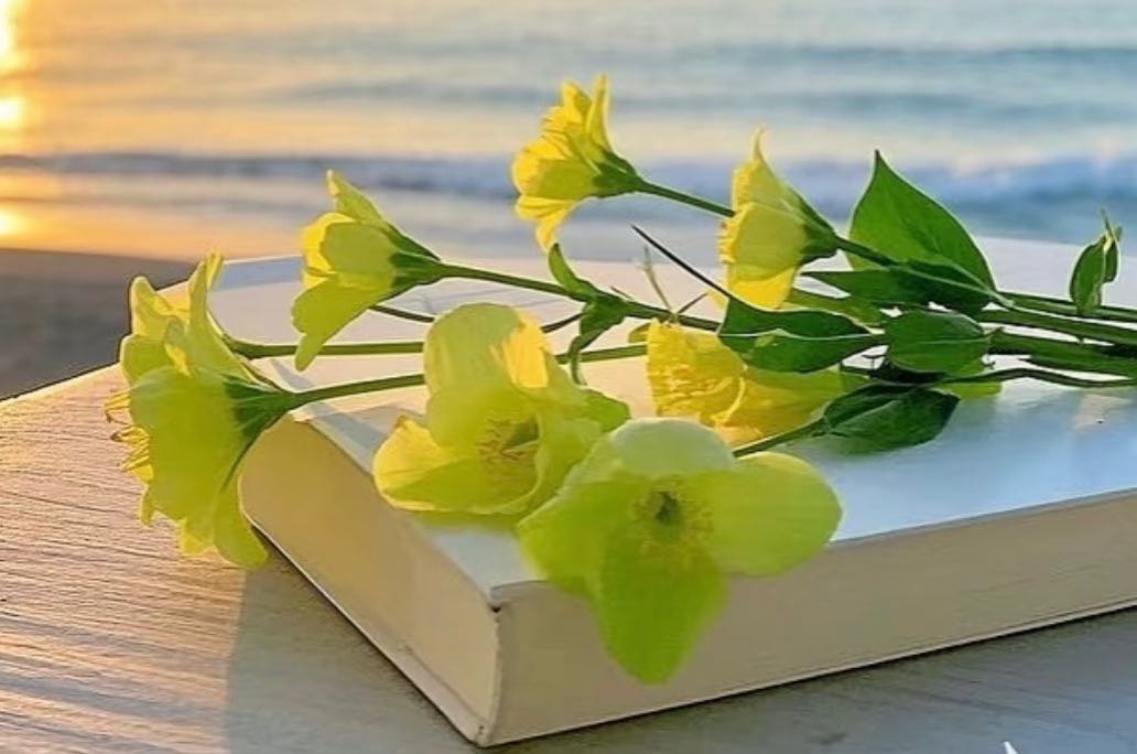 婆媳矛盾的真正推手