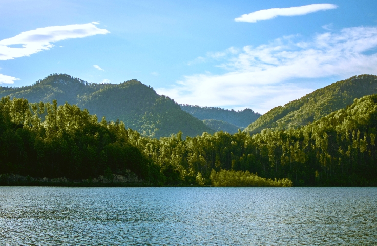 你喜欢柔软的事物吗🤔