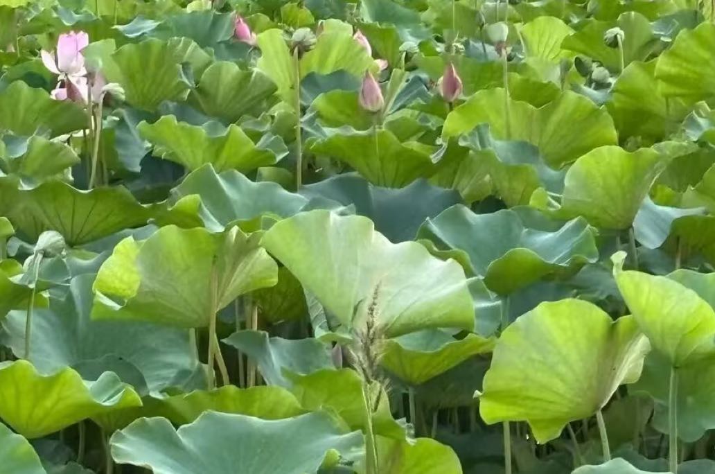 伴侣不会安慰、装硬汉？根源在他的父亲，3招破解亲密僵局