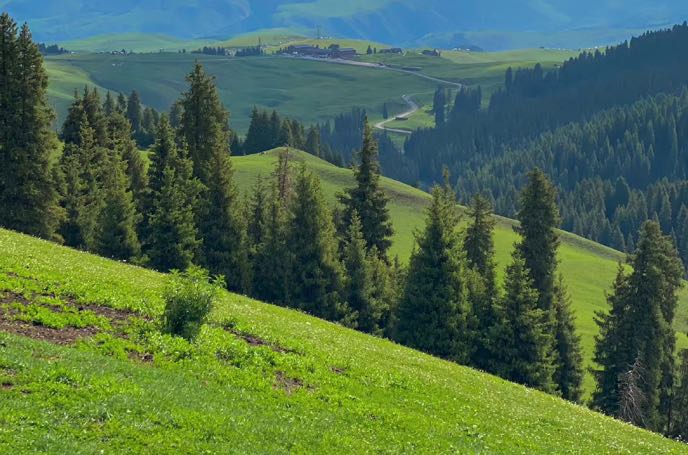 原生家庭：那些藏在成长里的影响，以及如何走出困局