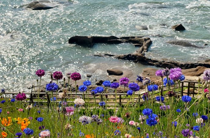 原生家庭对性格的影响：深远且多维度渗透