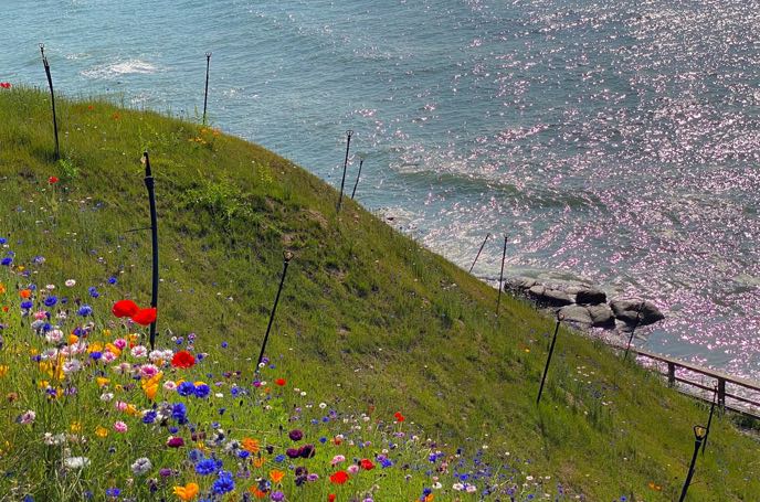 原生家庭的烙印：影响与破局之道