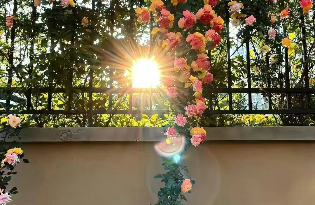 两地分居的婚姻该如何维系稳定？