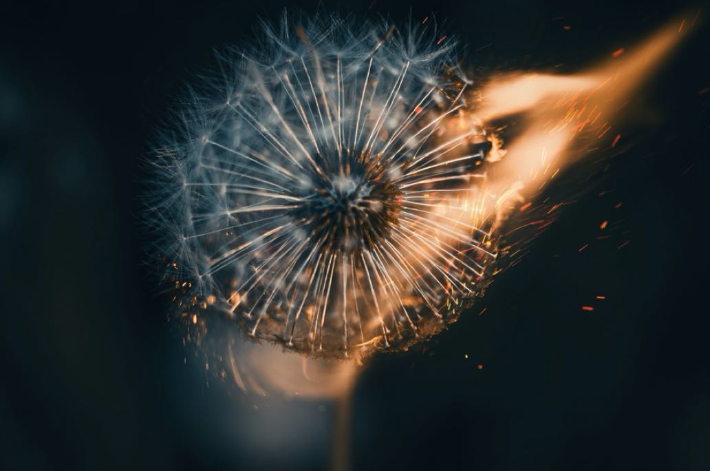 性格不合，是磨砺，更是互补