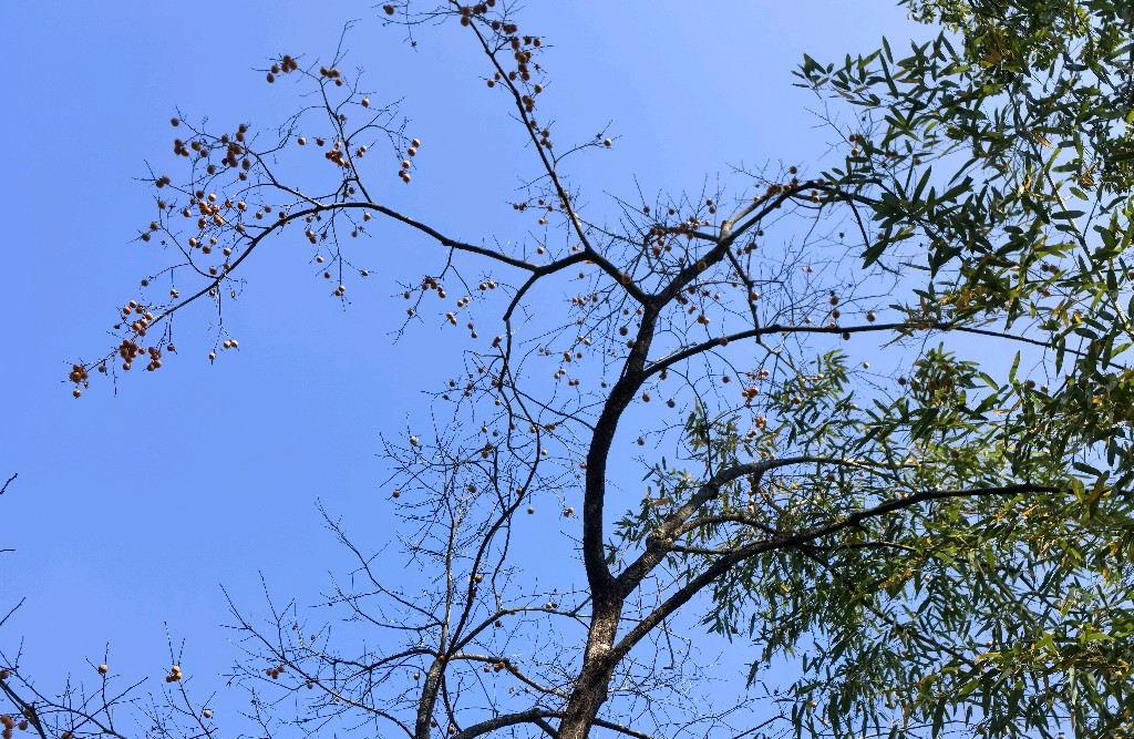 如何应对他人敌意化投射