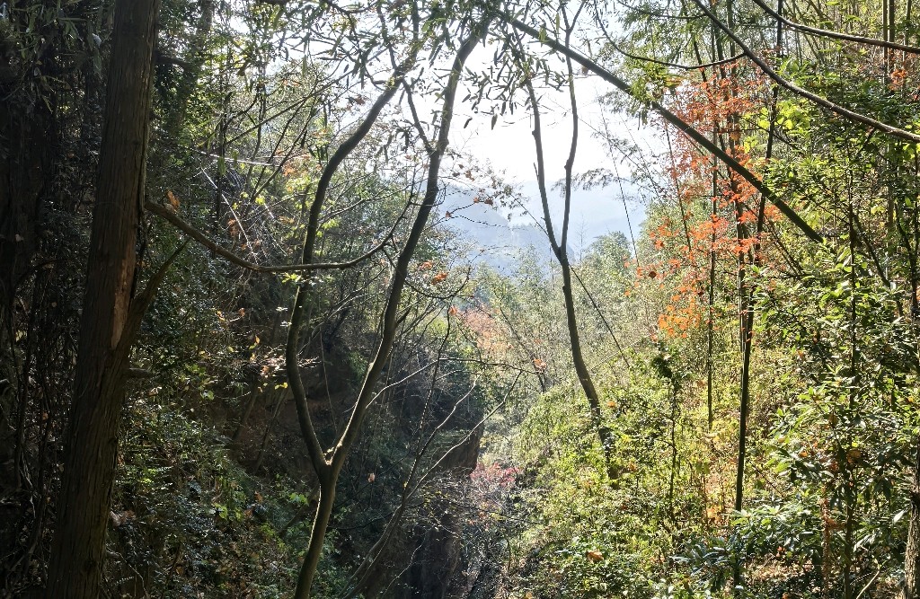 为什么越爱孩子，关系反而越差