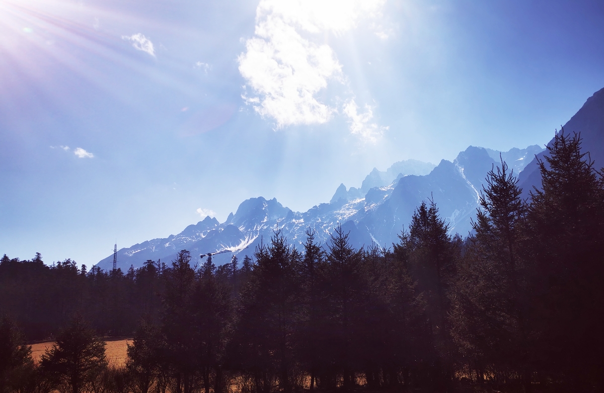 《在精神的原野上，做一名清醒的园丁》