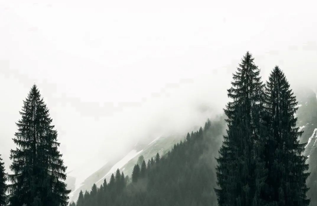 如何应对情绪内耗